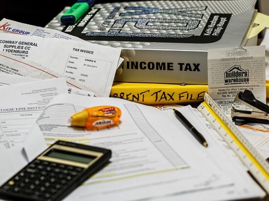 Taxing the informal sector: coping with coercion in Bamako, Mali